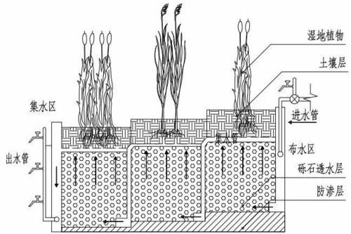 人工濕地的兩種構造類型