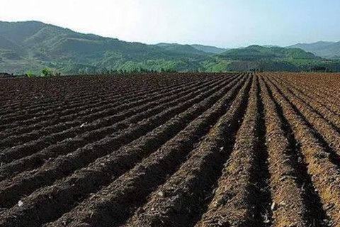 河北華清